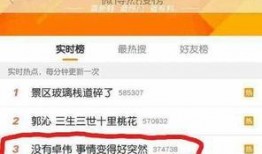 卓伟爆料全部娱乐圈视频,娱乐圈全揭秘，视频曝光惊人内幕