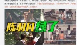 老九爆料视频大全最新版,揭秘娱乐圈幕后真相