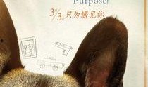 一条狗的使命 在线观看,一部温馨感人的生命旅程