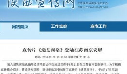 南京导游爆料新闻报道视频,揭秘古都背后的故事与秘密