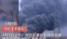 咸阳文林路爆料事件视频,视频揭露惊人一幕